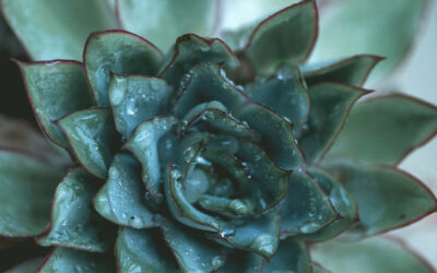 Transforming Your Property with Sustainable Building Refurbishment